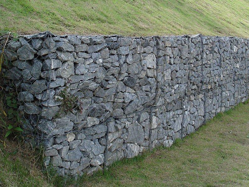 ���e�W(w��ng)